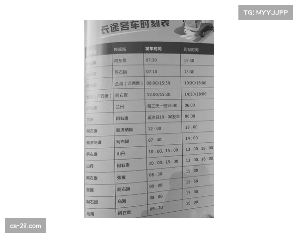 巴吉顶替卡巴完成注册 深圳内线轮换完成升级